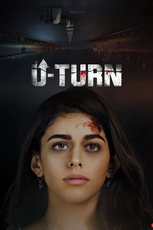 Постер: U-Turn
