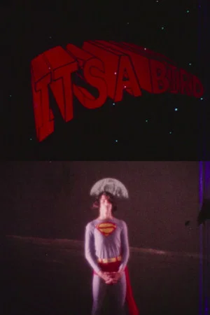 Постер: It's a Bird