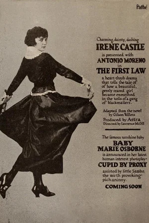 Постер: The First Law