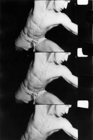 Постер: The Gymnasts