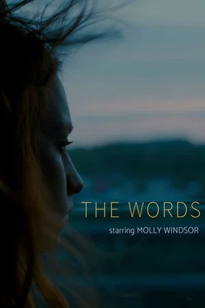 Постер: The Words