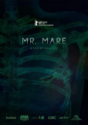 Постер: Mr. Mare