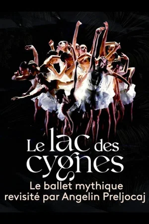 Постер: Le lac des cygnes au théâtre national de Chaillot