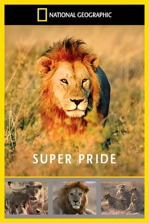 Постер: Superpride