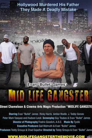 Постер: Mid Life Gangster