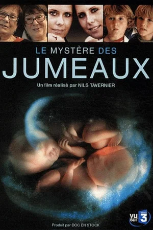 Постер: Le mystère des jumeaux