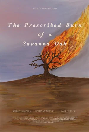 Постер: The Prescribed Burn of a Savanna Oak