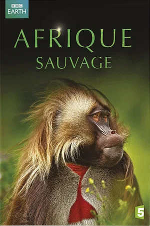 Постер: Afrique Sauvage