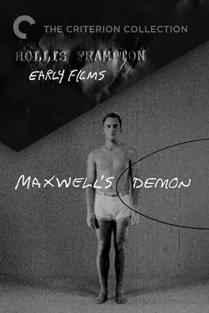 Постер: Maxwell's Demon