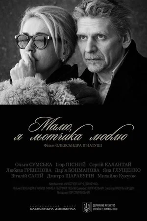 Постер: Мама, я лётчика люблю