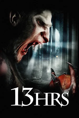 Постер: 13 часов