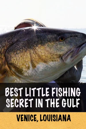 Постер: Best Little Fishing Secret in the Gulf: Venice, Louisiana
