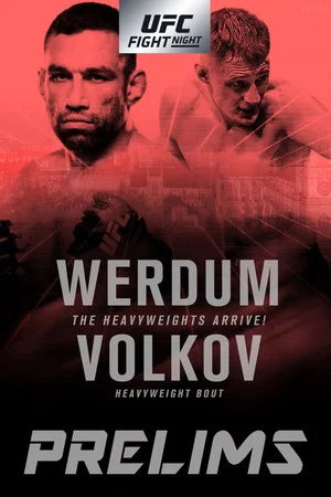 Постер: UFC Fight Night 127: Werdum vs. Volkov
