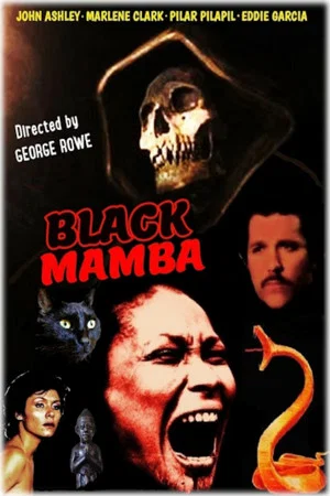 Постер: Black Mamba