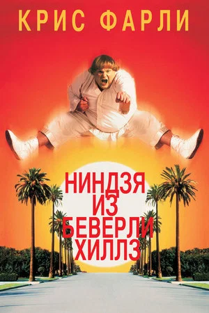 Постер: Ниндзя из Беверли Хиллз