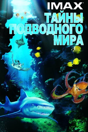 Постер: Тайны подводного мира