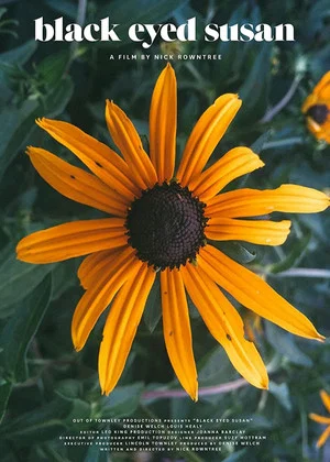 Постер: Black Eyed Susan