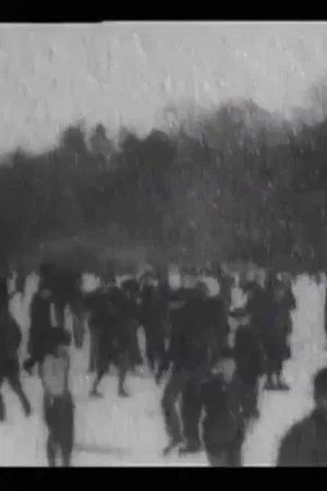 Постер: Skating on Lake, Central Park