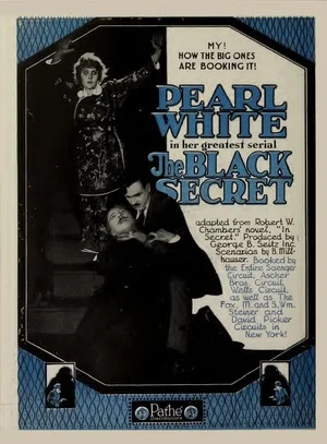 Постер: The Black Secret