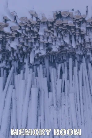 Постер: Memory Room