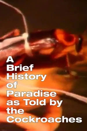 Постер: A Brief History of Paradise as Told by the Cockroaches