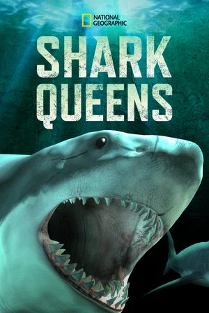 Постер: Shark Queens