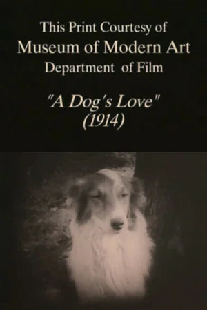 Постер: A Dog's Love