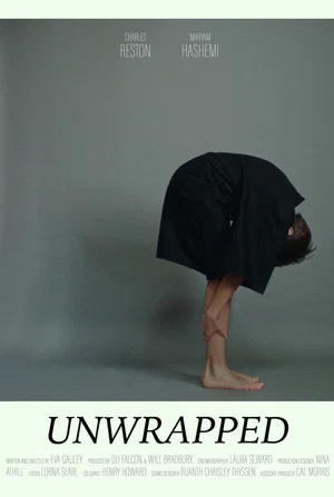 Постер: Unwrapped