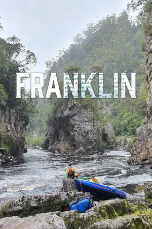Постер: Franklin