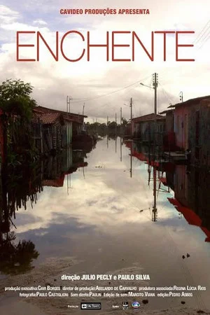 Постер: Enchente