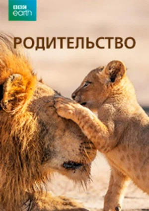 Постер: 1 сезон