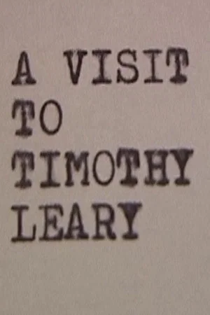 Постер: A Visit to Timothy Leary