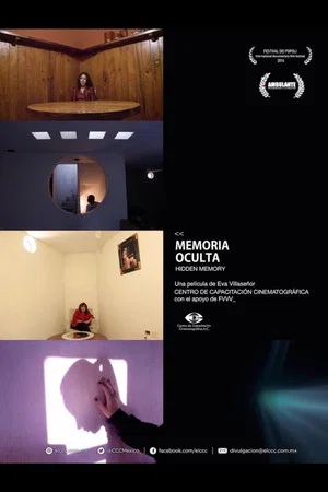Постер: Hidden Memory