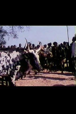 Постер: Feast of the Sacred Ox