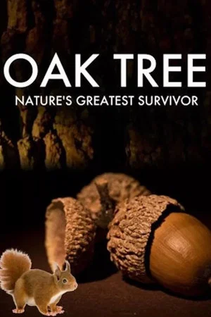 Постер: Oak Tree: Nature's Greatest Survivor