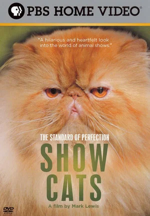 Постер: The Standard of Perfection: Show Cats