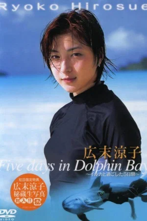 Постер: Five days in Dolphin Bay