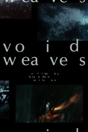 Постер: Void Weaves