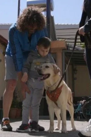 Постер: Dogs That Change Lives