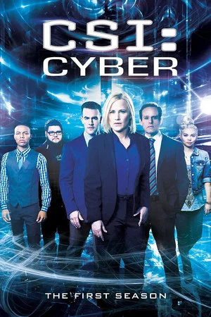 Постер: CSI: Киберпространство: 1 сезон