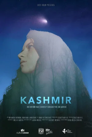 Постер: Kashmir