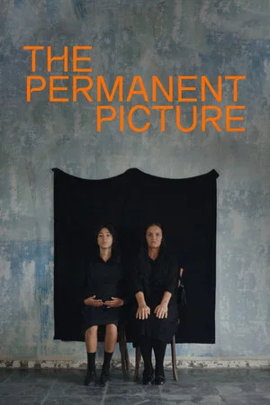 Постер: The Permanent Picture