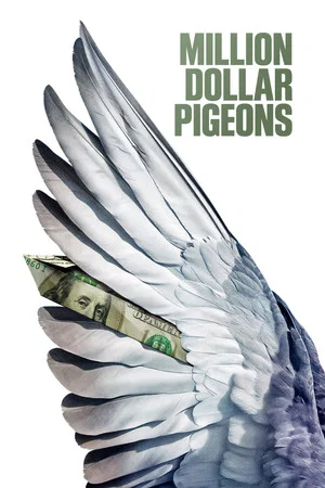 Постер: Million Dollar Pigeons