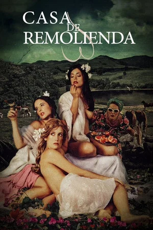 Постер: Casa de remolienda