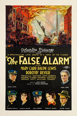 Постер: The False Alarm