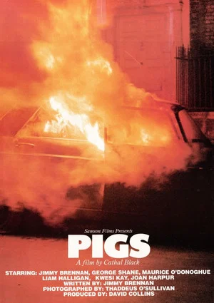 Постер: Pigs
