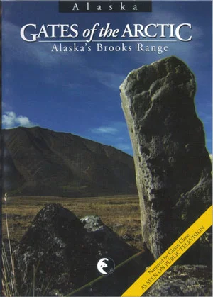 Постер: Gates of the Arctic