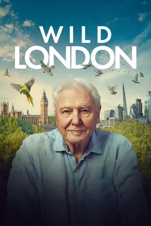Постер: Wild London