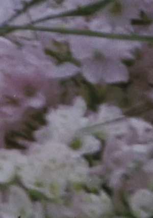 Постер: August