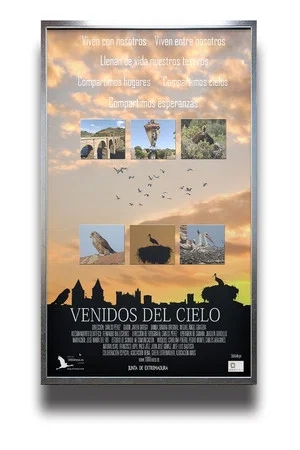 Постер: Venidos Del Cielo